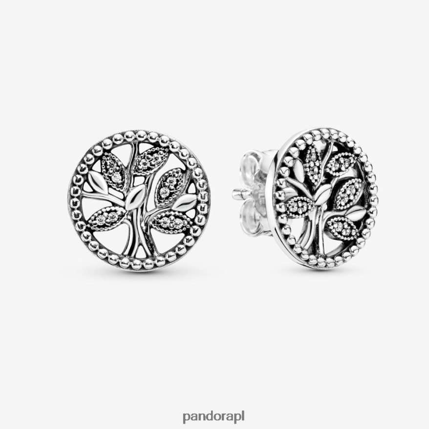 srebro Akcesoria Pandora błyszczące kolczyki w kształcie drzewa genealogicznego DFDN916