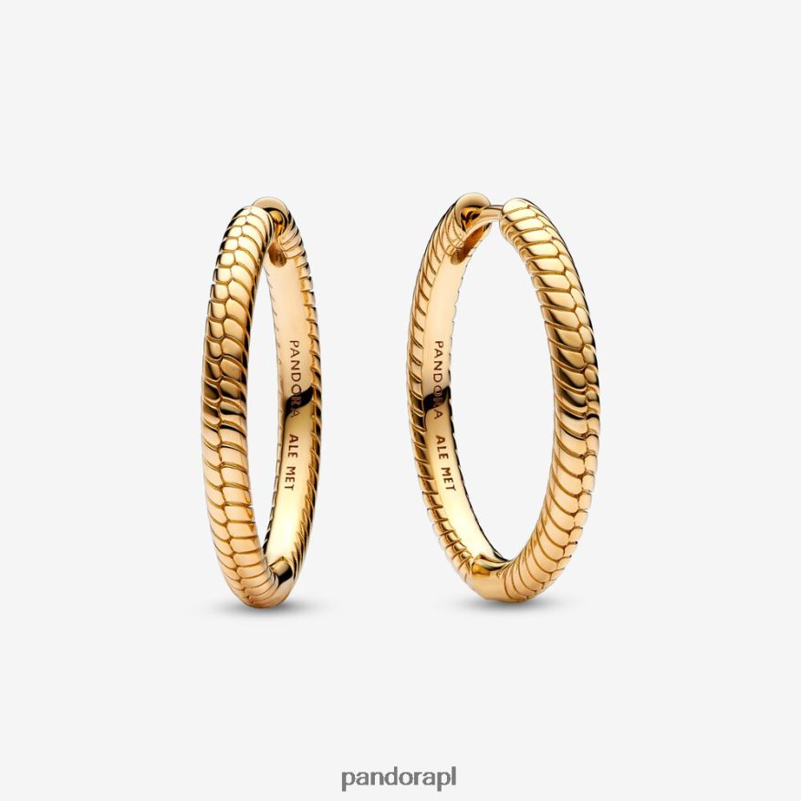 pozłacany Akcesoria Pandora kolczyki koła z urokiem chwili DFDN868