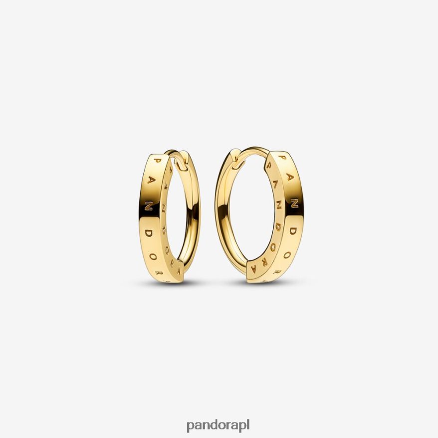 złoto Akcesoria Pandora charakterystyczne kolczyki koła i-d DFDN861